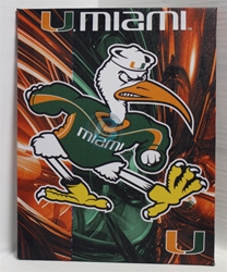 Miami Hurricanes Canvas 11" x 14" Wall Hanging collectible canvas, ncaa licensed, officially licensed, collegiate collectible, university of