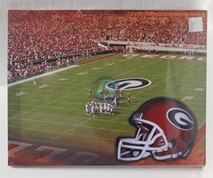University of Georgia (1) Field Canvas 11" x 14" Wall Hanging collectible canvas, ncaa licensed, officially licensed, collegiate collectible, university of