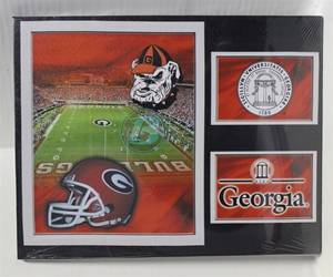 University of Georgia (2) Field & Seal Canvas 11" x 14" Wall Hanging collectible canvas, ncaa licensed, officially licensed, collegiate collectible, university of