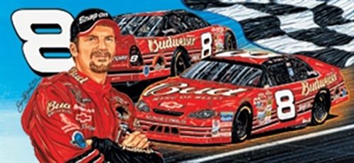 Dale Earnhardt Jr. 2001 