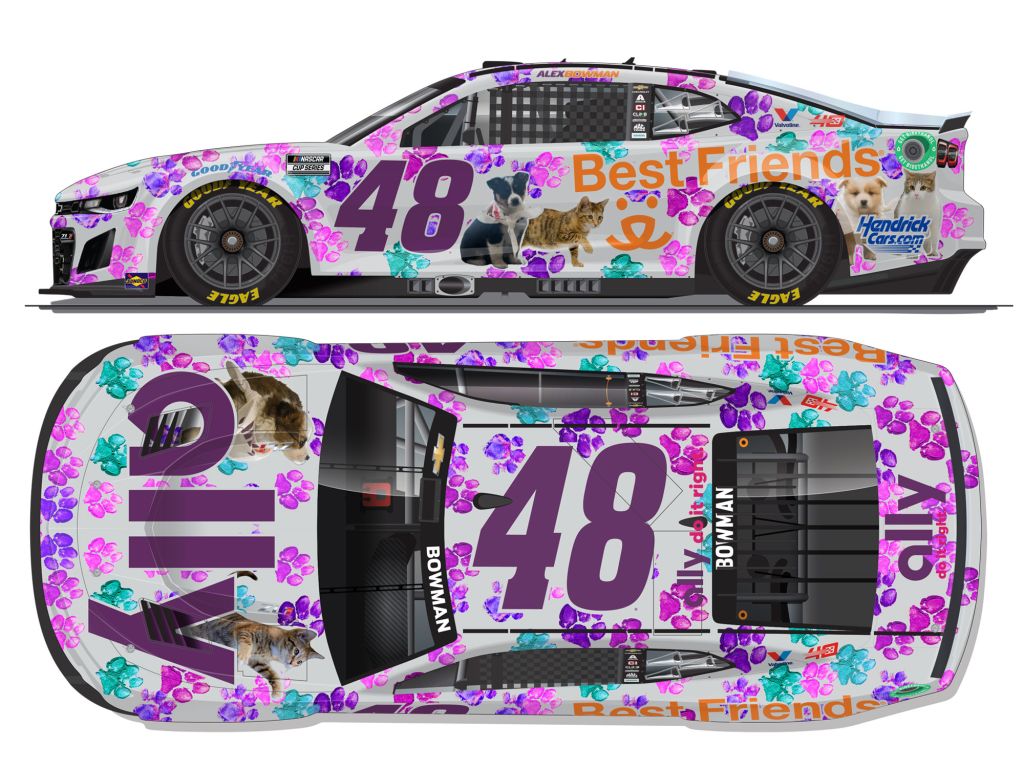 Alex Bowman 2024 Ally Best Friends 1:24 Nascar Diecast 1:24 Color ...